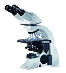 Leica DM1000 Clinical Microscope