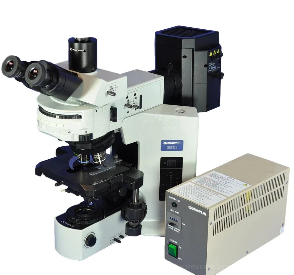 Olympus BX51 Fluorescence Microscope