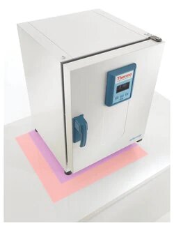 Thermo Scientific™ Heratherm™ General Protocol Microbiological Incubator