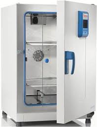 Thermo Scientific™ Heratherm™ Advanced Protocol Microbiological Incubator
