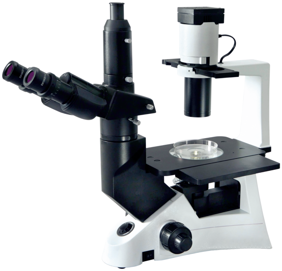 Magnus Inverted Fluorescence Trinocular LED Microscope (INVI)