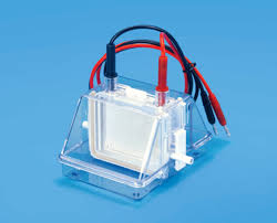 Tarsons Mini Dual Vertical Electrophoresis Unit (7080)