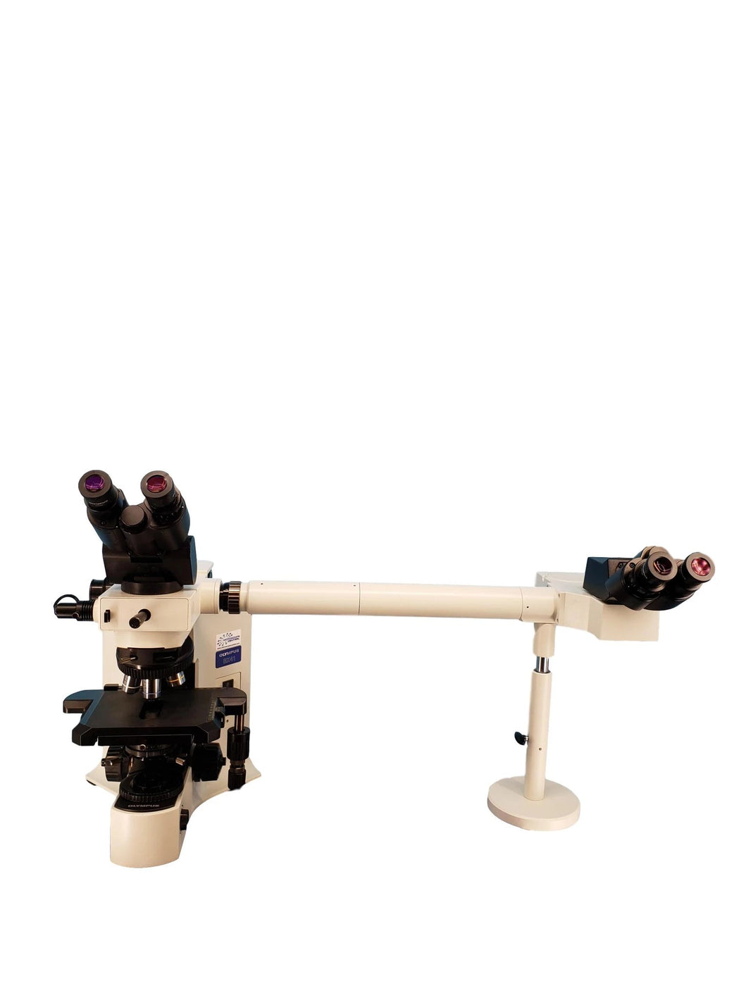 Olympus BX41 Dual Head Microscope
