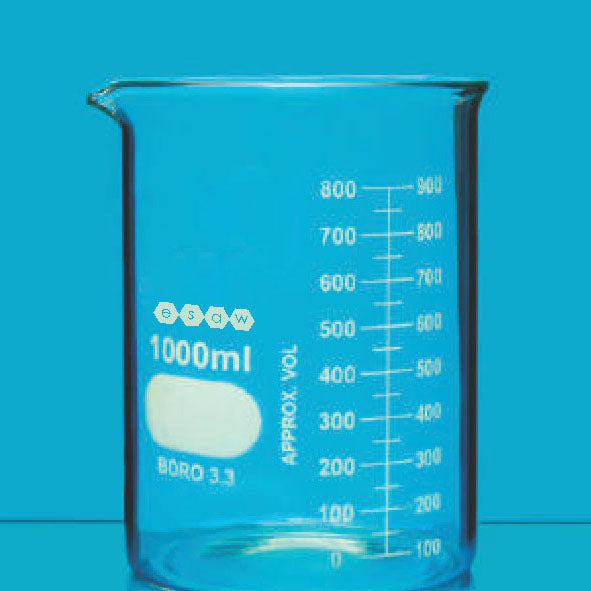 ESAW 9500.5000/01 Low Form Beaker With Spout