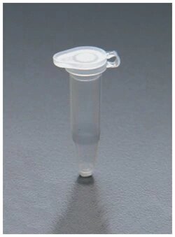 Thermo Scientific™ PCR Tubes and Plates