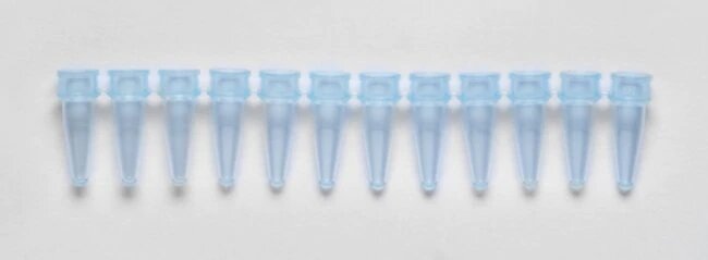 Thermo Scientific™ PCR Plate Strip Caps