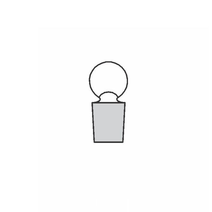ESAW 9500.132080 Iodine Flask With Funnel Shaped Cup And Stopper