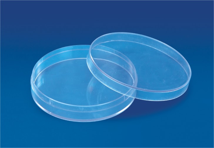 Polylab 57501 Petri Dish (Culture)