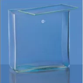 Borosil Rectangular Museum Jar with cover, 3.3 Borosilicate glass (6910)