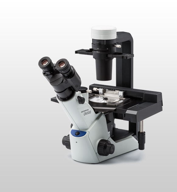 Invertable Compact Microscope Buy Olympus Inverted Microscope for Lab CKX 53 | LabEnd.com