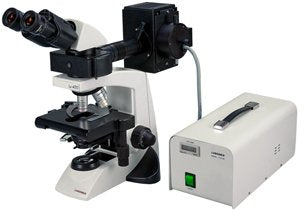 Labomed LX 400 EFL Research Fluorescence Binocular Microscope