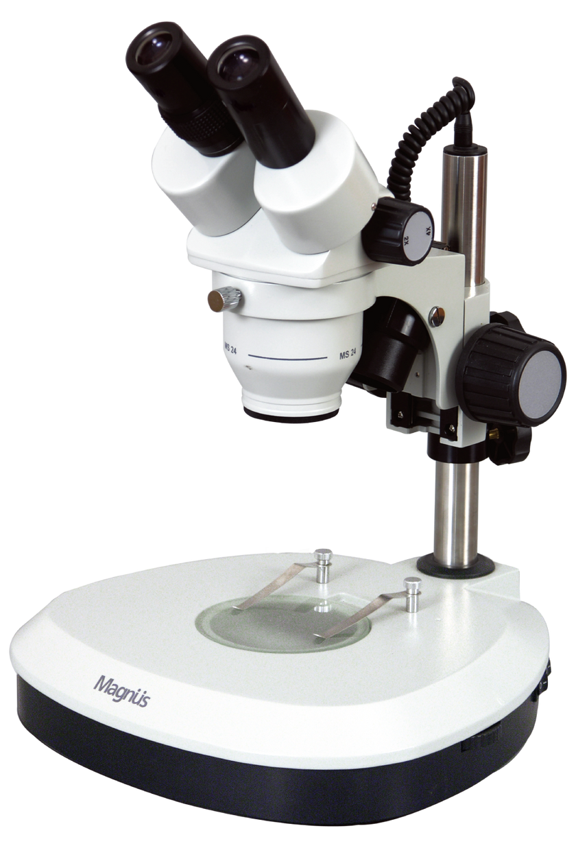 Magnus Stereoscopic Binocular Microscope (MS 24)