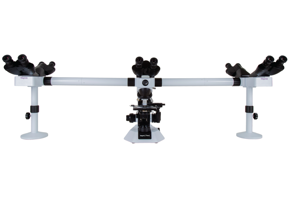 Magnus Multi-Head Teaching LED Microscope (MX21i-TR)