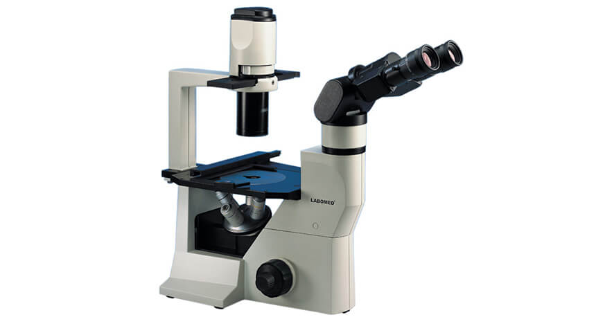 Labomed TCM 400 Binocular Microscope with Camera Module