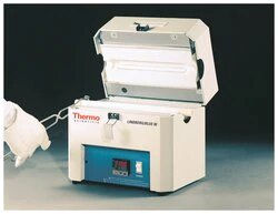 Thermo Scientific™ Lindberg/Blue M™ Mini-Mite™ Tube Furnaces